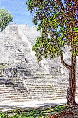 Calakmul by Bill Bell