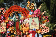 Photographic Images from Our Lady of Guadalupe Day Mexico City