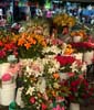 guanajuato flower market