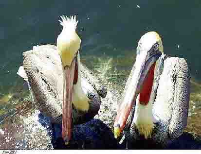 Ensenada Baja Mexico Photography by Bill Bell