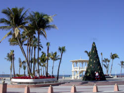Christmas in La Paz  Bill Bell Photograph