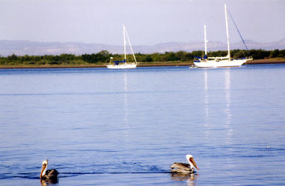 La Paz Baja Sur Mexico Photographs by Bill Bell