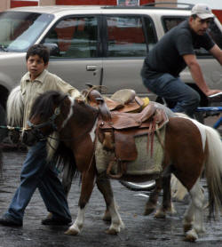Patzcuaro Michoacan Mexico Photography by Bill Bell