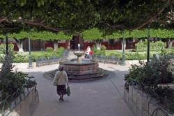 San Miguel de Allende Photograph  by Bill Bell