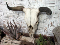 HOme Decorations?  Bill Bell Photograph