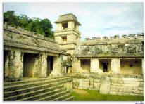 Palenque Chiapas Mexico Photography by Bill Belll and Dorothy Bell