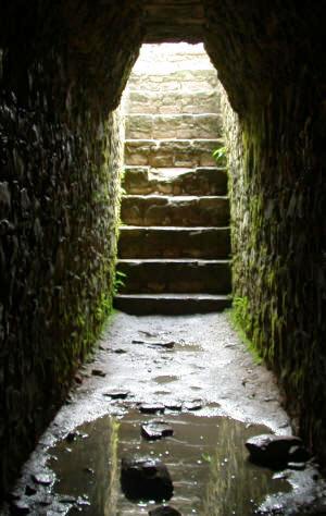 Palenque Chiapas Mexico Photography by Bill Belll and Dorothy Bell