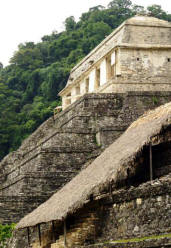 Palenque Chiapas Mexico Photography by Bill Belll and Dorothy Bell