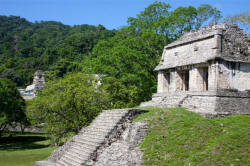 Palenque Chiapas Mexico Photography by Bill and Dorothy Bell