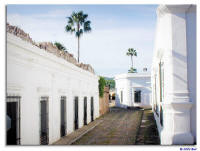 Streets of Alamos