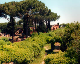 More Italy Photography -   Ancient Roman towns, Venice, Florence, Rome...photography by Bill Bell