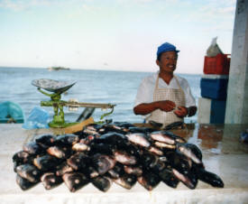 Market fish Ciudad del Carmen Campeche Mexico Photography Photography by Bill Bell 