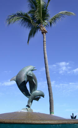 Puerto Vallarta Jalisco Mexico Photography by Bill Bell